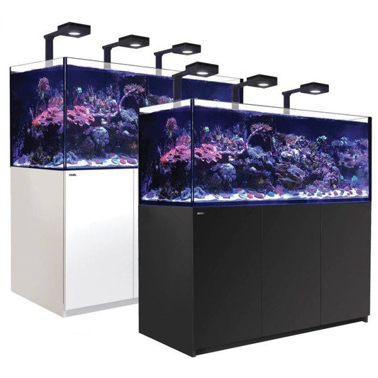 Build Your Own Reef Tank Setup Package (5ft)