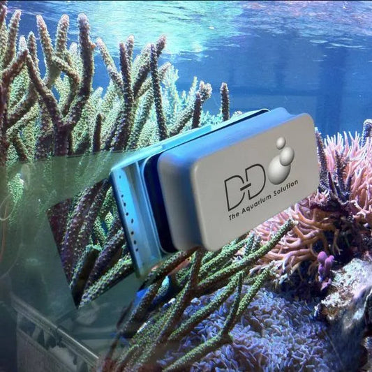 Magscraper Pro L Algae Magnet
